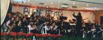 banda993